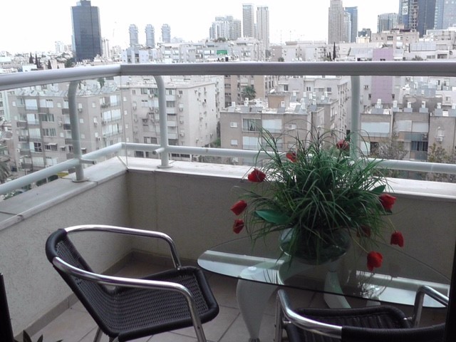 Photo terrasse1-appart-tlv-716.jpg 3