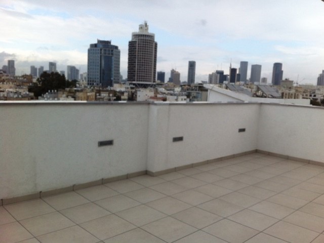 Photo terrasse1-duplex-penthouse-tlv-704.jpg 5