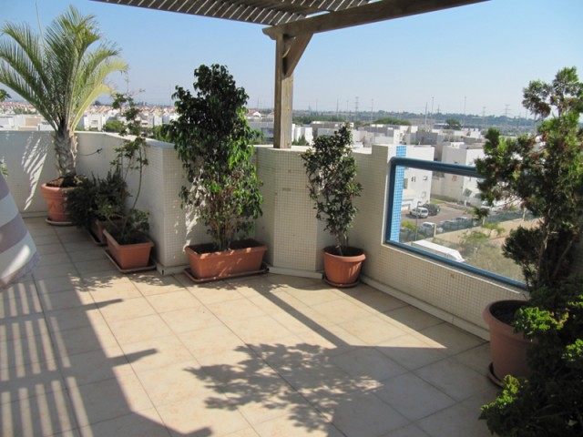 Photo vue-terrasse-penthouse-rishon.jpg 9